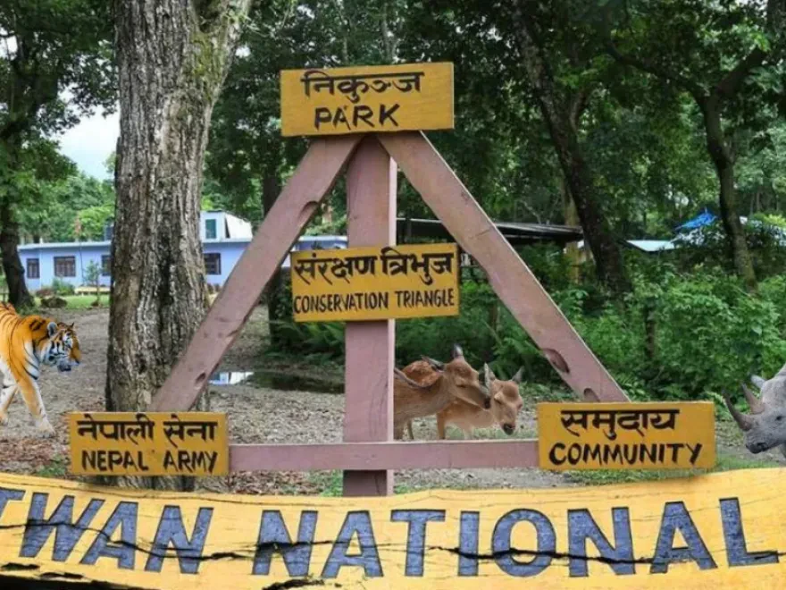 Chitwan Jungle Safari Tour