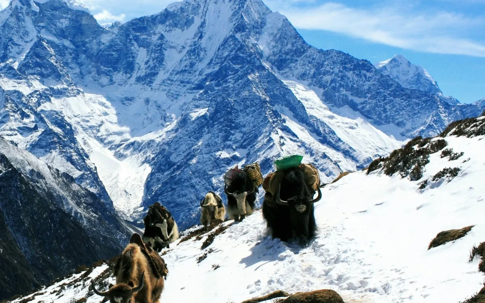 Ultimate Guide to Mera Peak Climbing in Nepal