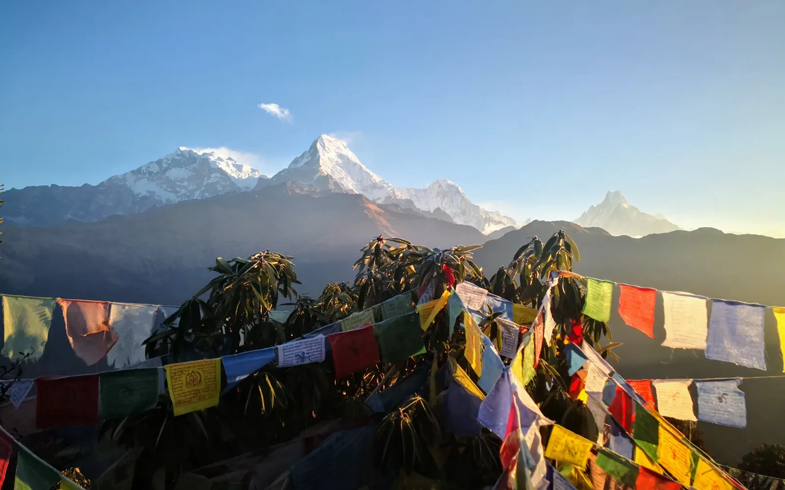 Annapurna Base Camp Trek with Poonhill: Ultimate Guide