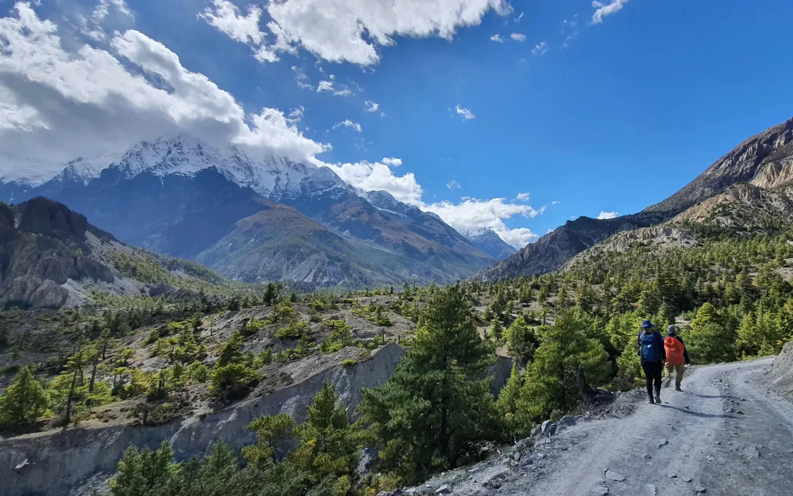 Annapurna Base Camp Trek: Essential Guide & Tips
