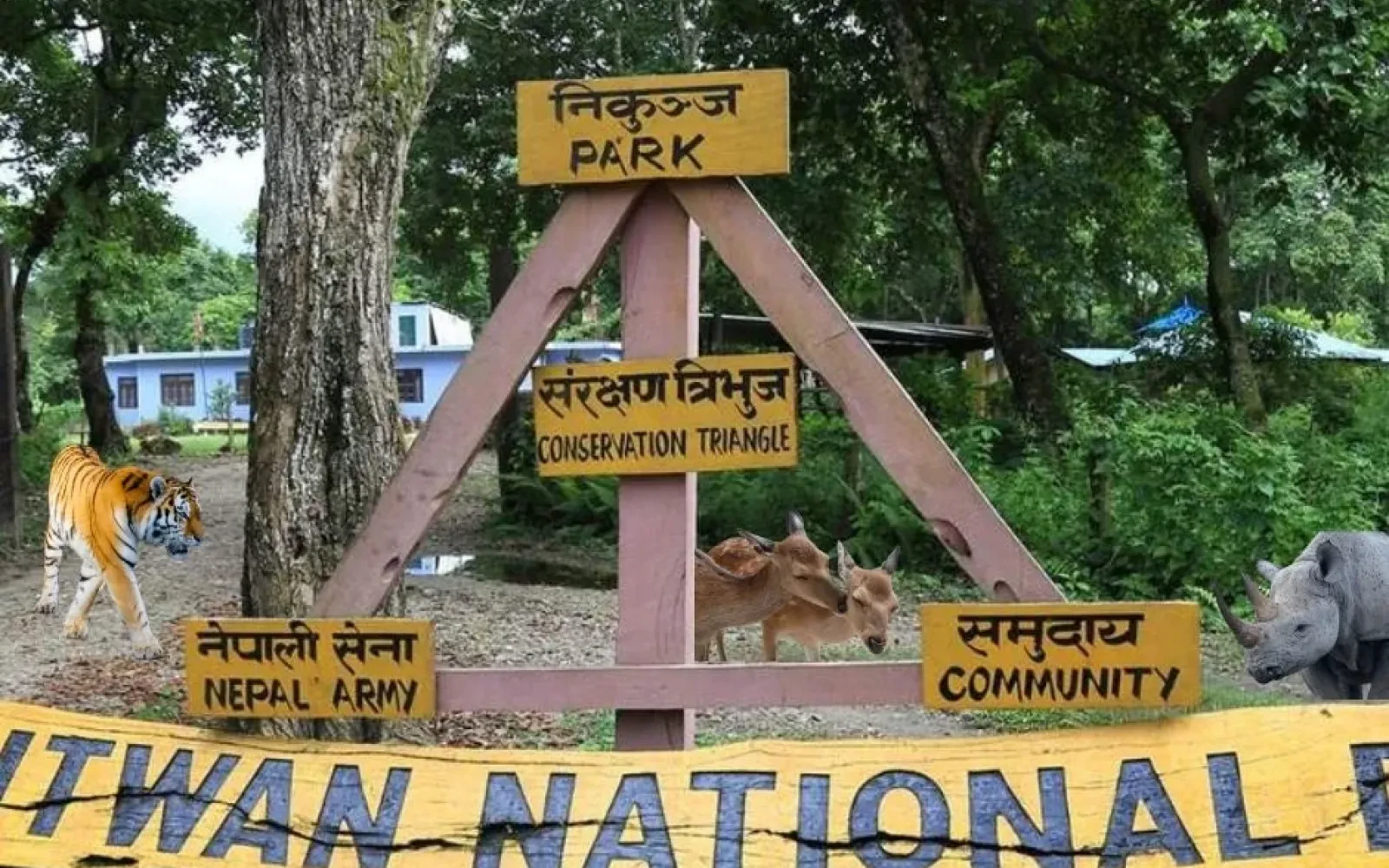 Chitwan Jungle Safari in Nepal: Ultimate Wildlife Adventure