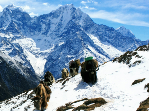 Ultimate Guide to Mera Peak Climbing in Nepal