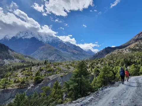 Annapurna Base Camp Trek: Essential Guide & Tips