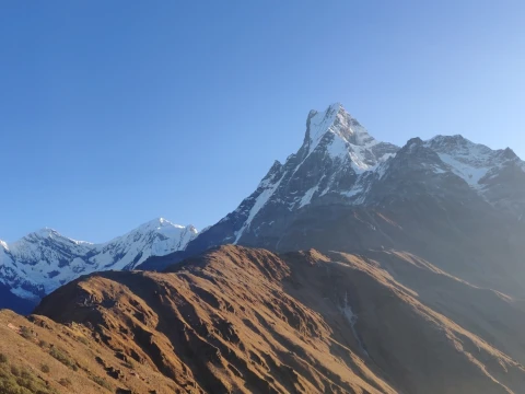 Mardi Himal Trek: Ultimate Guide & Itinerary