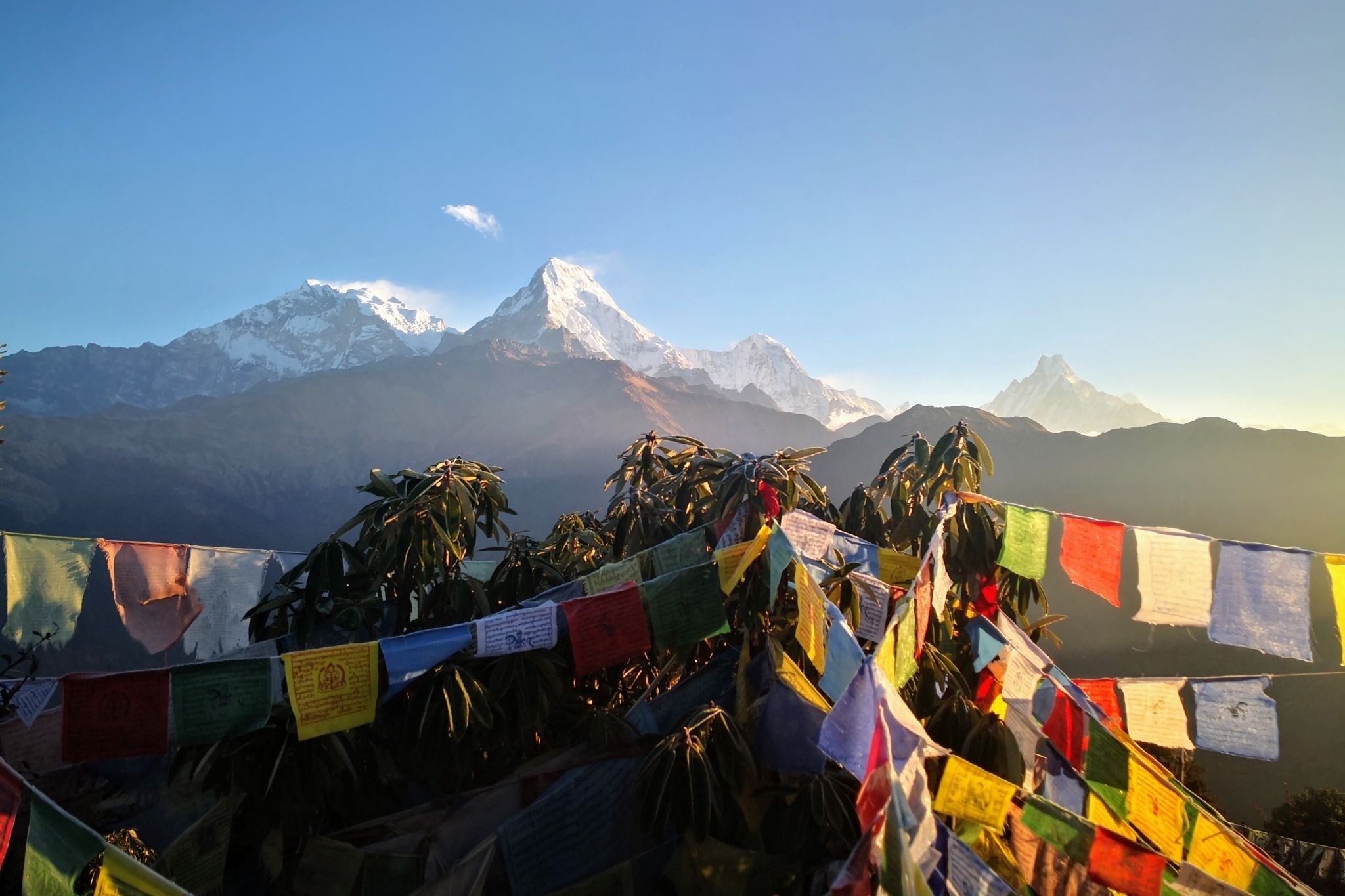 https://www.miracletreks.com/trips/ghorepani-poonhill-trek